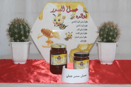 عسل السدر الجبلي